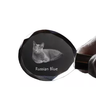 Bleu russe - Fob with cat photo, crystal key ring in gift box, unique gift by Art-Dog brand