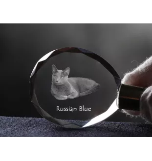 Russisch Blau - Fob with cat photo, crystal key ring in gift box, unique gift by Art-Dog brand