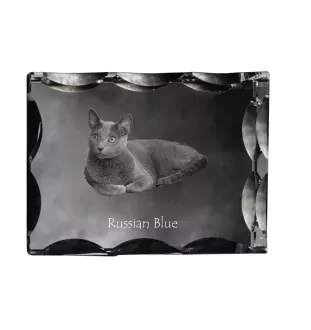 Bleu russe - cristal avec une photo de chat, une statuette en verre avec une photo, un cadre exceptionnel avec une photo de la marque Art-Dog