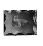 Bleu russe - cristal avec une photo de chat, une statuette en verre avec une photo, un cadre exceptionnel avec une photo de la marque Art-Dog