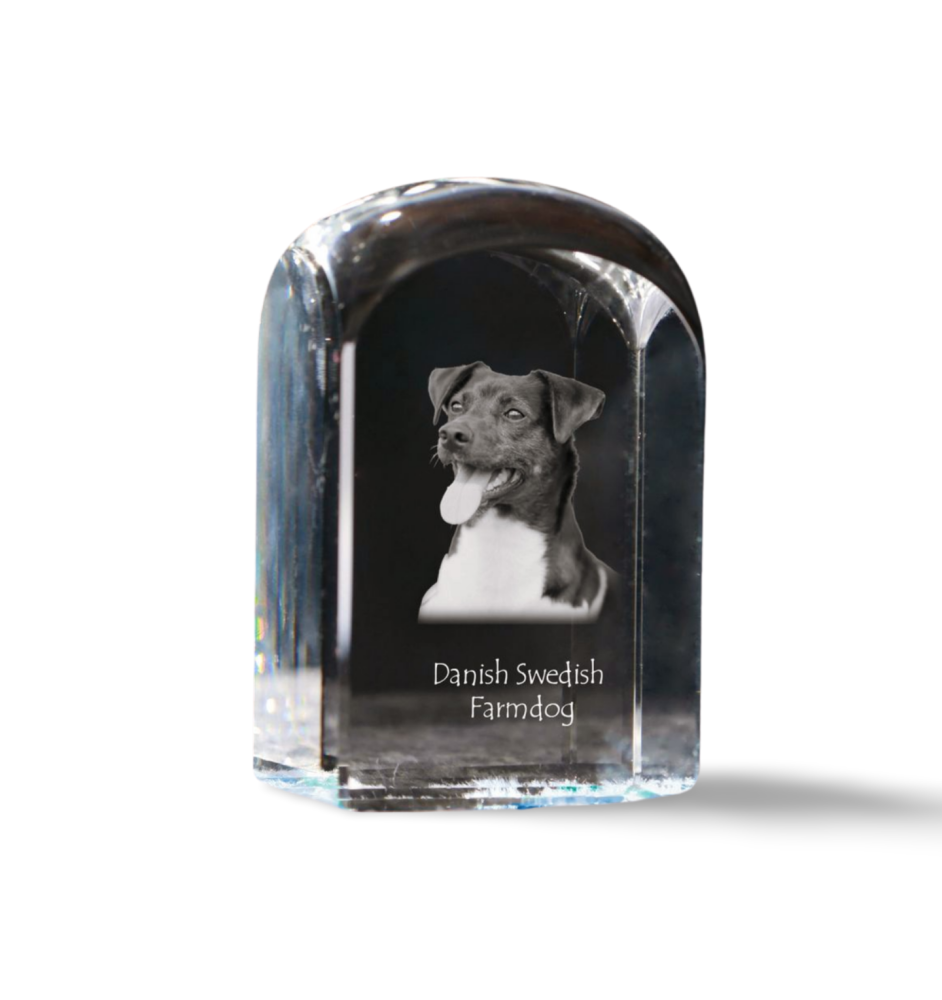 Danish-Swedish Farmdog - crystal cube with a photo, photo of a dog in crystal, cubic paperweight from Art-Dog brand