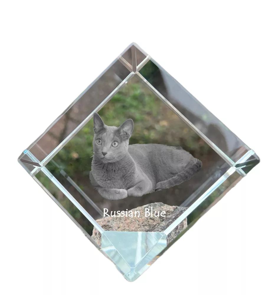 Russian Blue - crystal cube with a picture of a cat, crystal with a picture of a horse, cubic paperweight by Art-Dog brand