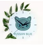 Russisch Blau - MDF-Uhr mit Grafik und Logo der Marke Art-Dog