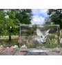 Savannah - crystal with a picture of a cat, photo in glass, modern exhibition of Art-Dog brand photo