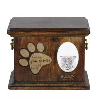 Scottish Fold - urn for cat ashes, urn for cat with photo, personalized cat ashes box by Art-Dog brand