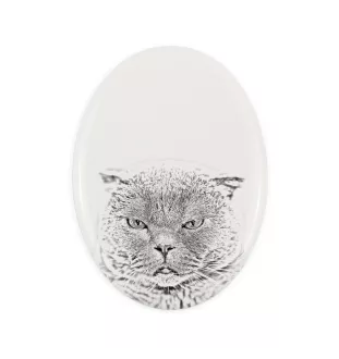 Scottish Fold - commemorative plaque with a cat photo, tombstone with a print, personalized oval plaque from the Art-Dog brand