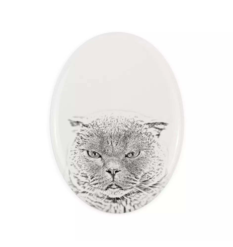 Scottish Fold - commemorative plaque with a cat photo, tombstone with a print, personalized oval plaque from the Art-Dog brand