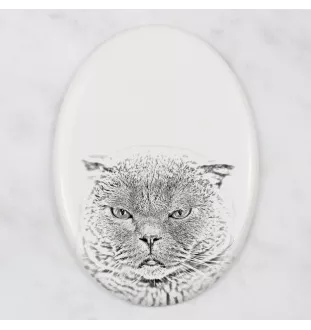 Scottish Fold - commemorative plaque with a cat photo, tombstone with a print, personalized oval plaque from the Art-Dog brand