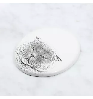 Fold écossais - une plaque commémorative avec une photo de chat, une plaque funéraire avec une impression, une plaque ovale personnalisée de la marque Art-Dog