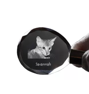 Savanne - Fob with cat photo, crystal key ring in gift box, unique gift by Art-Dog brand