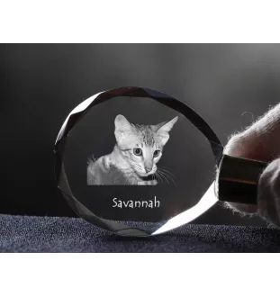 Savanne - Fob with cat photo, crystal key ring in gift box, unique gift by Art-Dog brand