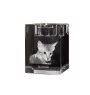 Savanne - Kerzenhalter mit Katzenfoto, Teelichthalter aus Kristall, personalisiertes Geschenk der Marke Art-Dog