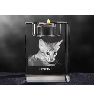 Savannah - Candle holder with cat photo, crystal tealight holder, personalised gift by Art-Dog brand