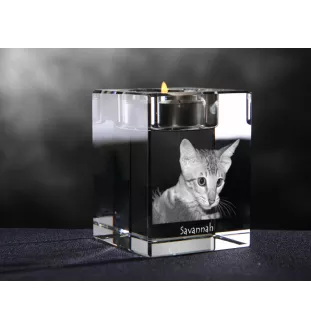 Savanne - Kerzenhalter mit Katzenfoto, Teelichthalter aus Kristall, personalisiertes Geschenk der Marke Art-Dog