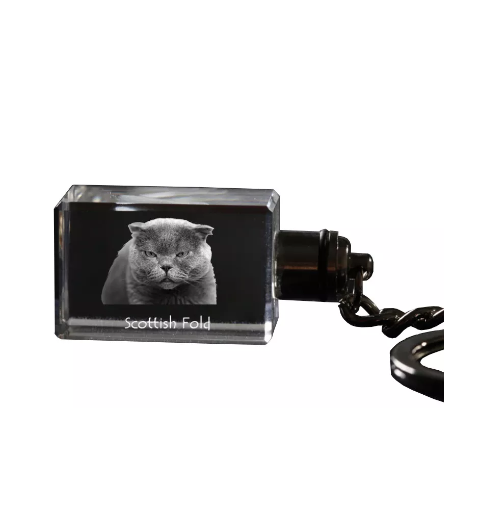 Schottische Falte - Kristall-Anhänger mit Katzenfoto, beleuchteter Anhänger, einzigartiges Geschenk der Marke Art-Dog