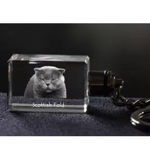 Scottish Fold - Crystal pendant with cat photo, illuminated pendant, unique gift by Art-Dog brand