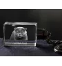 Scottish Fold - Crystal pendant with cat photo, illuminated pendant, unique gift by Art-Dog brand