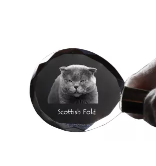 Fold écossais - Fob with cat photo, crystal key ring in gift box, unique gift by Art-Dog brand