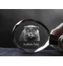 Schottische Falte - Fob with cat photo, crystal key ring in gift box, unique gift by Art-Dog brand