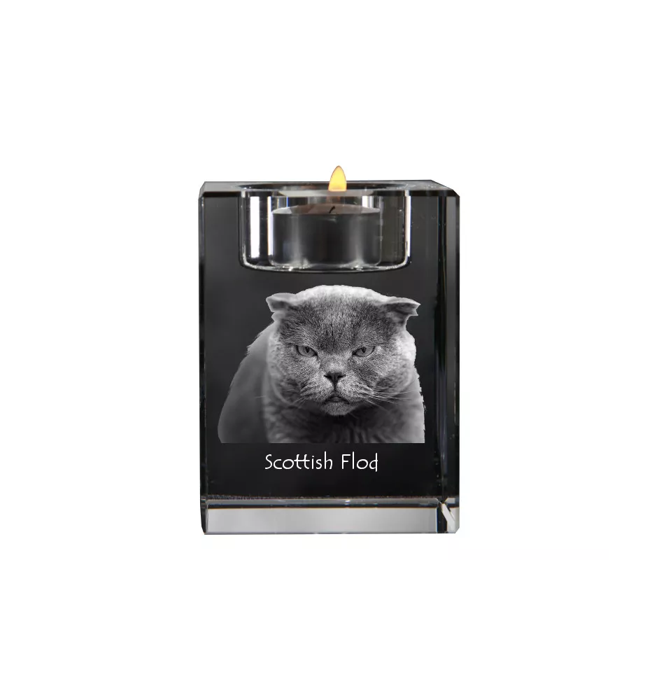 Szkocki zwisłouchy świecznik kryształowy z kotem Art-Dog