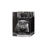 Fold écossais - Bougeoir avec photo de chat, porte bougie en cristal, cadeau personnalisé par la marque Art-Dog