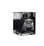 Scottish Fold - Candle holder with cat photo, crystal tealight holder, personalised gift by Art-Dog brand