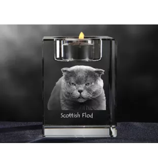 Fold écossais - Bougeoir avec photo de chat, porte bougie en cristal, cadeau personnalisé par la marque Art-Dog