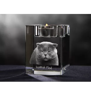 Scottish Fold - Candle holder with cat photo, crystal tealight holder, personalised gift by Art-Dog brand