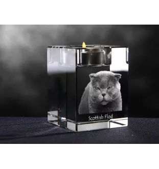 Fold écossais - Bougeoir avec photo de chat, porte bougie en cristal, cadeau personnalisé par la marque Art-Dog