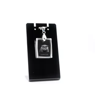 Fold écossais - Crystal cat pendant, photo necklace, unique jewellery by Art-Dog