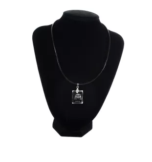 Scottish Fold - Crystal cat pendant, photo necklace, unique jewellery by Art-Dog