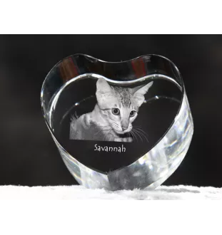 Savanne - Kristalluhr mit Katzenbild, Herzregal-Uhr, personalisierte Standuhr von Art-Dog.