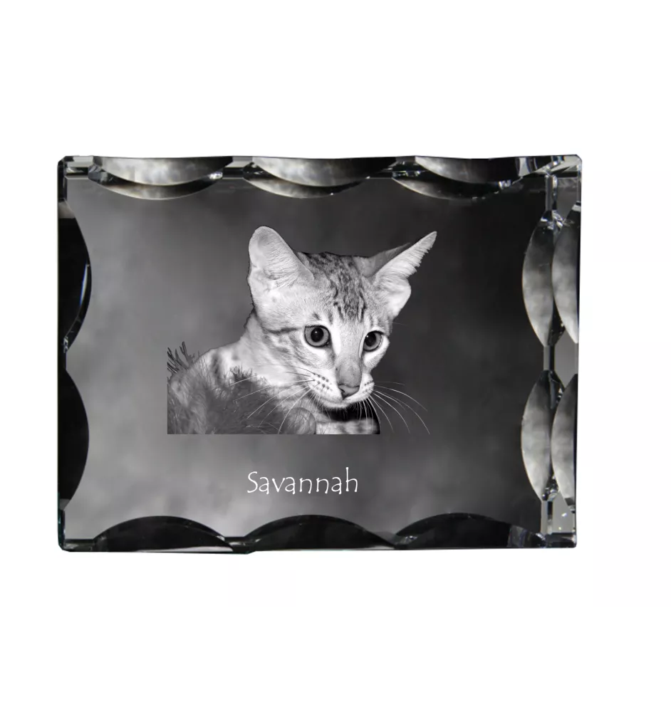Savannah - crystal with a cat picture, glass statuette with a picture, unique frame with a picture from Art-Dog brand
