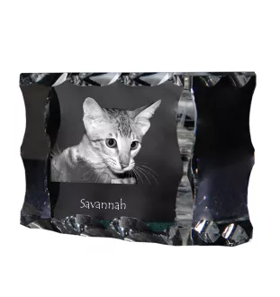 Savannah - crystal with a cat picture, glass statuette with a picture, unique frame with a picture from Art-Dog brand