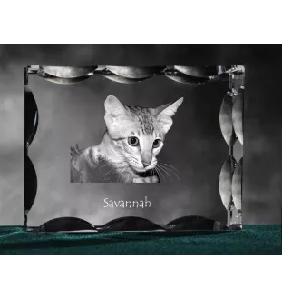 Savannah ramka kryształowa z kotem Art-Dog