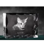 Savannah - crystal with a cat picture, glass statuette with a picture, unique frame with a picture from Art-Dog brand