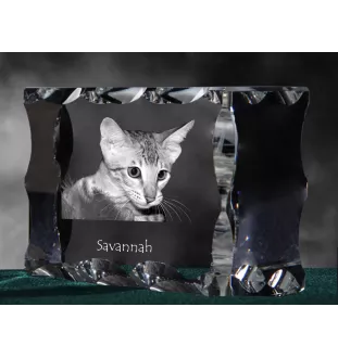 Savannah ramka kryształowa z kotem Art-Dog