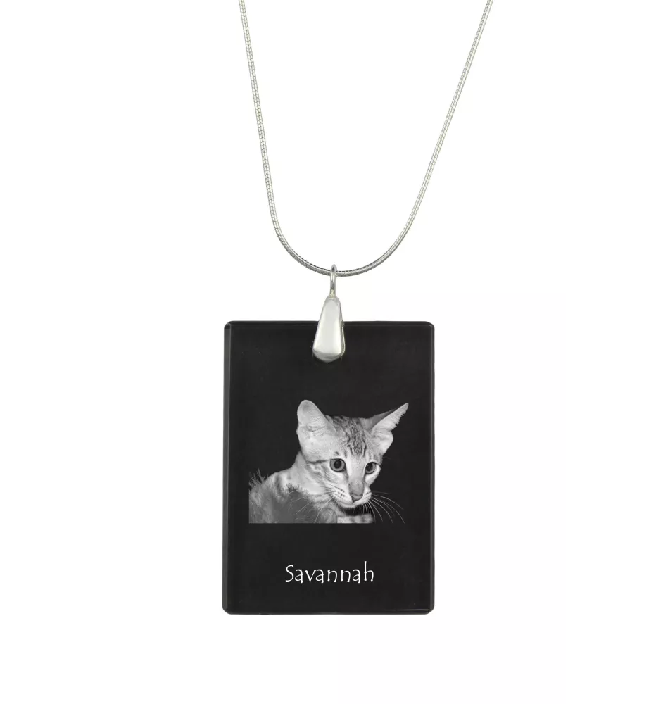Savanne - Crystal pendant with cat, silver necklace with photo, personalised pendant by Art-Dog brand
