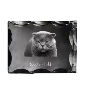 Scottish Fold - crystal with a cat picture, glass statuette with a picture, unique frame with a picture from Art-Dog brand
