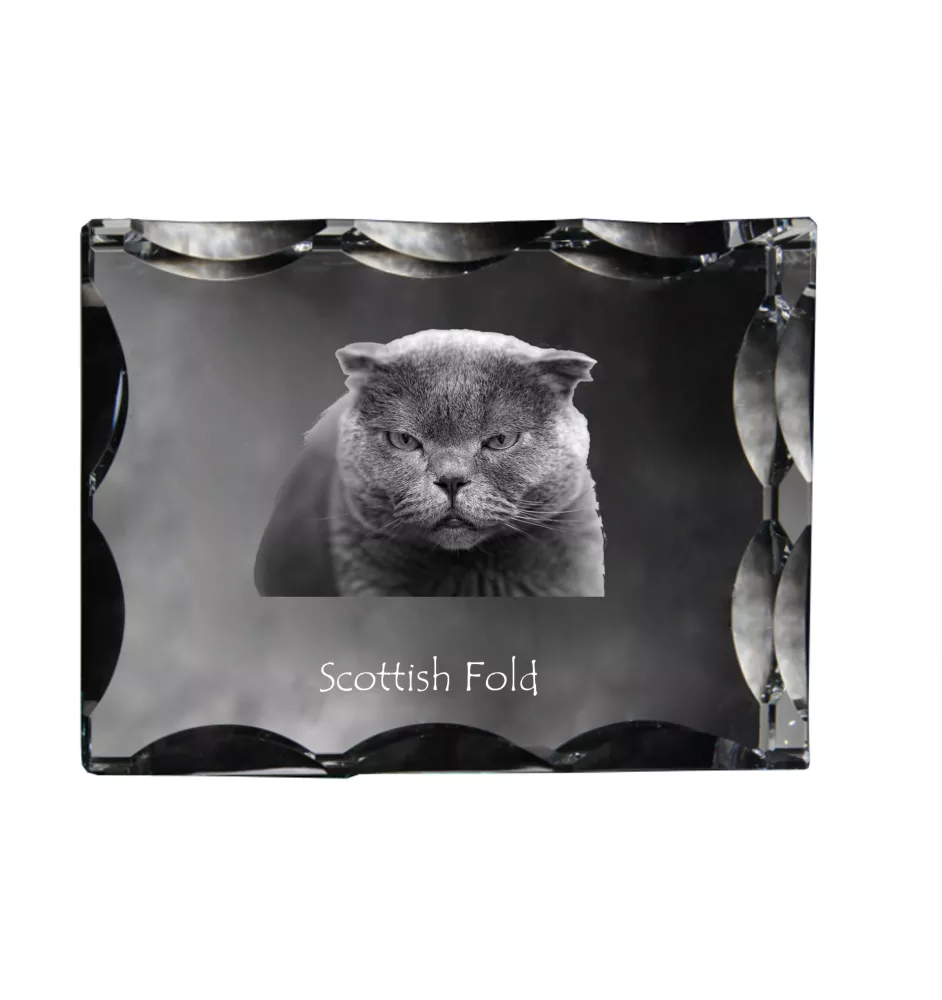Scottish Fold - crystal with a cat picture, glass statuette with a picture, unique frame with a picture from Art-Dog brand