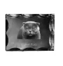 Scottish Fold - crystal with a cat picture, glass statuette with a picture, unique frame with a picture from Art-Dog brand