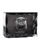 Scottish Fold - crystal with a cat picture, glass statuette with a picture, unique frame with a picture from Art-Dog brand