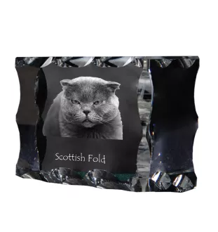 Scottish Fold - crystal with a cat picture, glass statuette with a picture, unique frame with a picture from Art-Dog brand