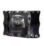 Scottish Fold - crystal with a cat picture, glass statuette with a picture, unique frame with a picture from Art-Dog brand