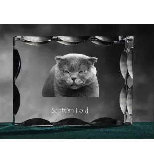 Scottish Fold - crystal with a cat picture, glass statuette with a picture, unique frame with a picture from Art-Dog brand