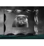 Scottish Fold - crystal with a cat picture, glass statuette with a picture, unique frame with a picture from Art-Dog brand