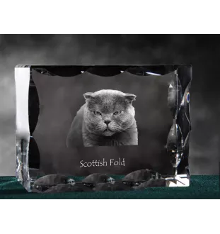 Scottish Fold - crystal with a cat picture, glass statuette with a picture, unique frame with a picture from Art-Dog brand