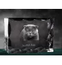 Scottish Fold - crystal with a cat picture, glass statuette with a picture, unique frame with a picture from Art-Dog brand