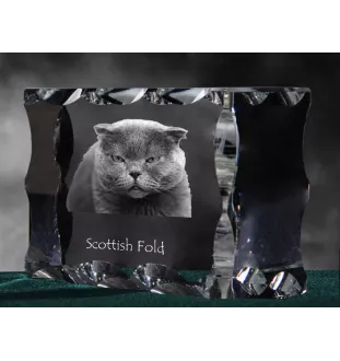 Schottische Falte - Kristall mit Katzenbild, Glasstatuette mit Bild, einzigartiger Bilderrahmen der Marke Art-Dog
