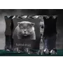 Scottish Fold - crystal with a cat picture, glass statuette with a picture, unique frame with a picture from Art-Dog brand